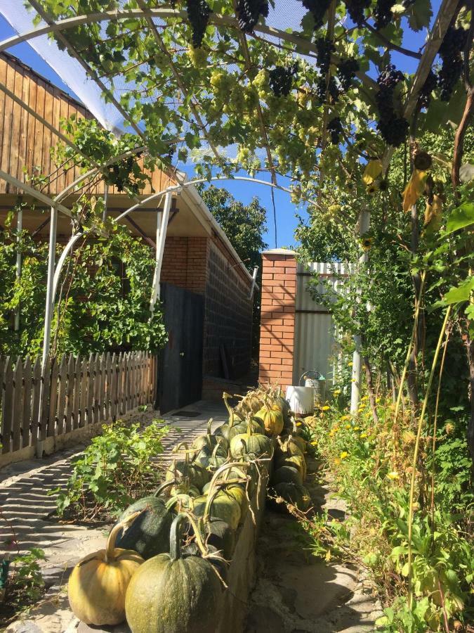 Oasis Apartman Aspindza Kültér fotó